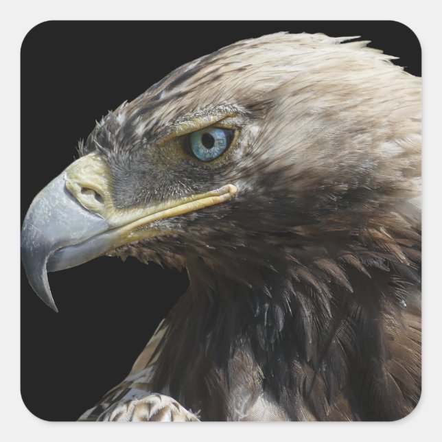Eagle Square Sticker (Front)