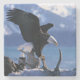 Eagle Stone Coaster