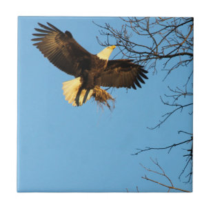 Eagle Sunset Wings Tile