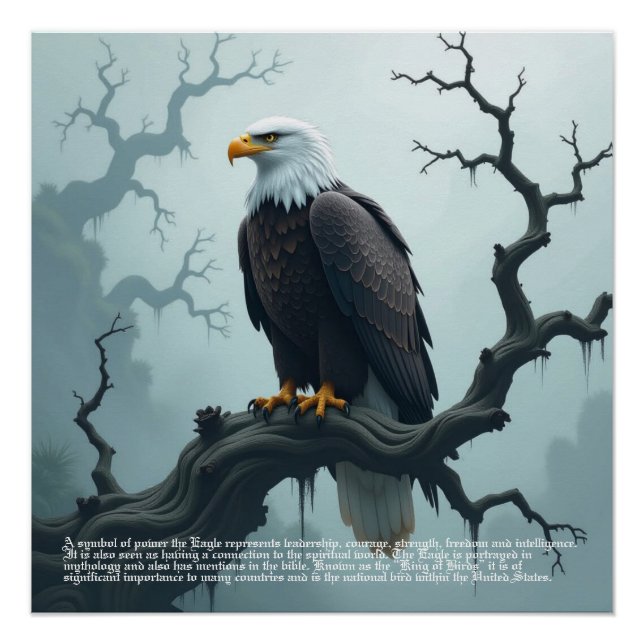 Eagle Symbolism Poster (Front)