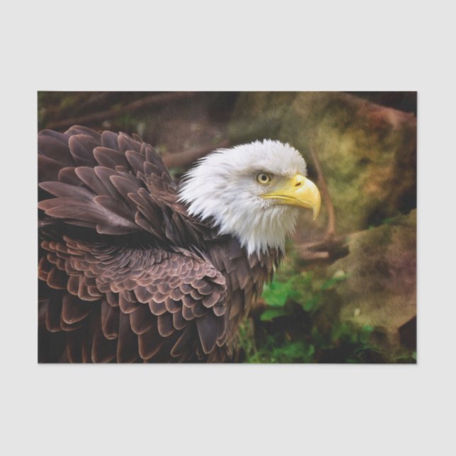 Eagle Tissue Paper (Front)