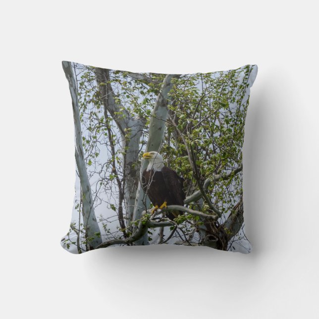 Eagle Watch Out Cushion (Front)