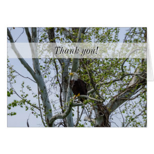 Eagle Watch Out Thank You Card