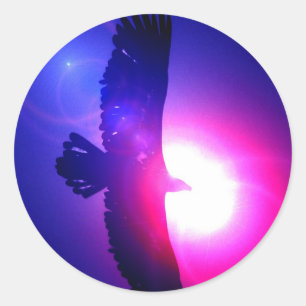 Eagle Wings - Eagle in Flight Classic Round Sticker
