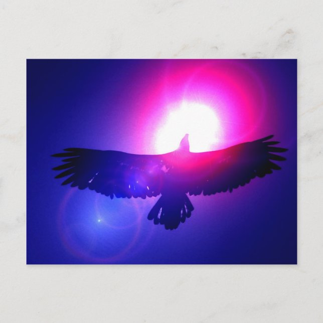 Eagle Wings - Eagle in Flight Postcard (Front)
