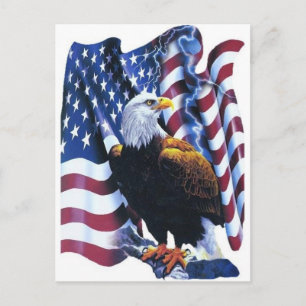 Eagle with American flag Postcard