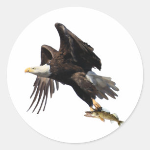 Eagle with Fish Classic Round Sticker