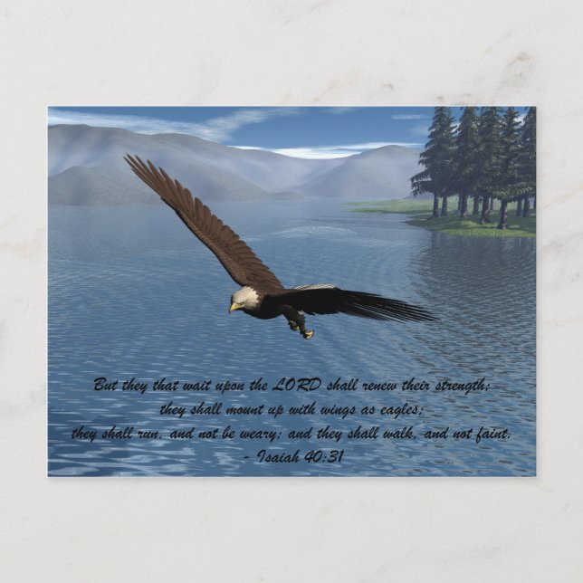 Eagle with Scripture Postcard (Front)