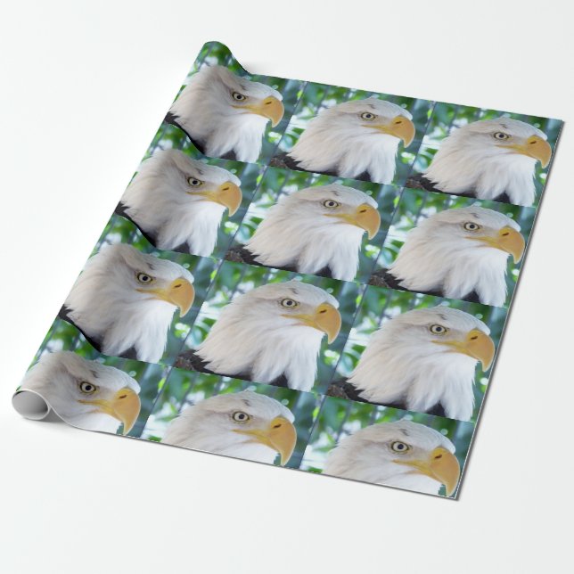 Eagle Wrapping Paper (Unrolled)