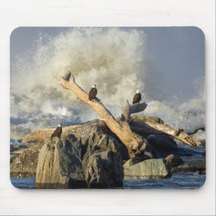 Eagles and Rough Water Mouse Mat