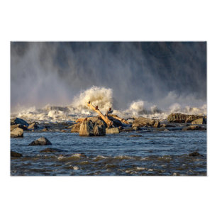 Eagles And Rough Water Photo Print