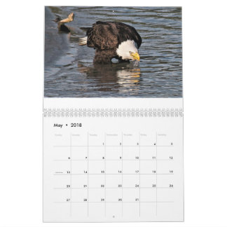 Eagles by Tamara Calendar