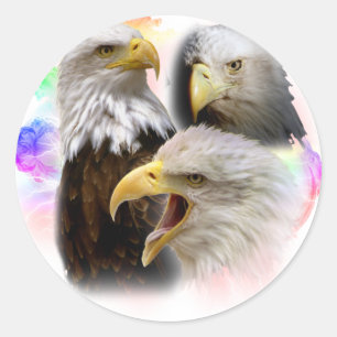 Eagles Classic Round Sticker