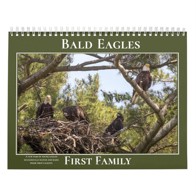 Eagles First Family Calendar (Cover)