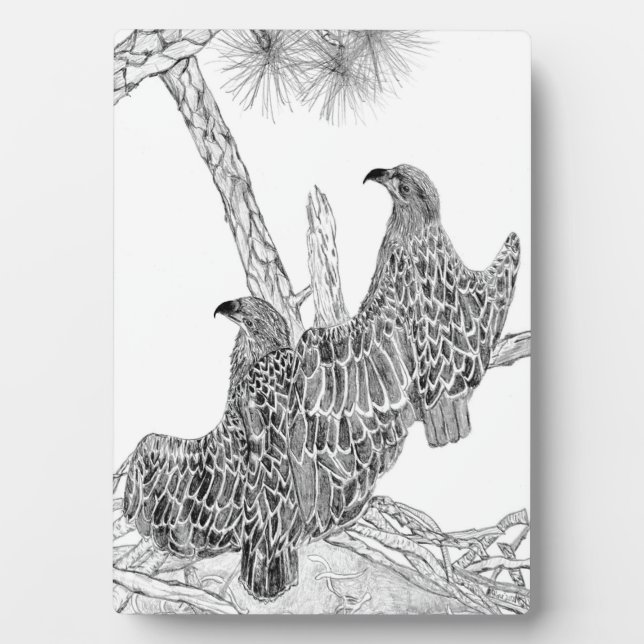 EAGLES HARRIET + M  E17 + E18 BECOMING A BIG EAGLE PLAQUE (Front)