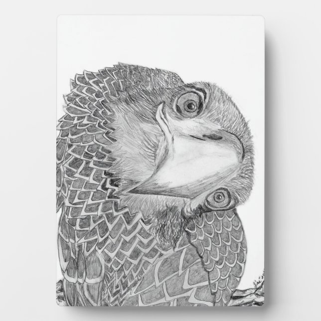 EAGLES HARRIET + M HOME FAMILY TREE E9 SOARS PLAQUE (Front)