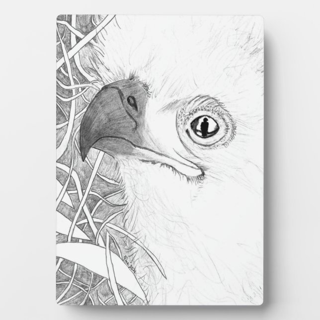 EAGLES HARRIET + M - KEEPING AN EYE ON THE FUTURE PLAQUE (Front)