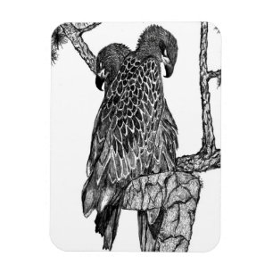 EAGLES HARRIET + M - YOUNGER MAGNET