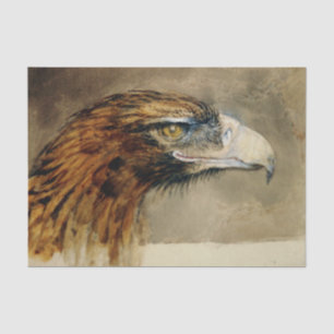 Eagle's Head (by John Ruskin) Tissue Paper
