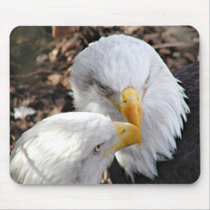 eagles mouse mat