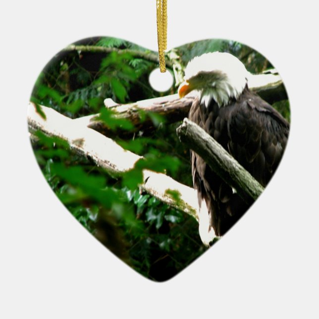 Eagles Nest Ceramic Tree Decoration (Front)
