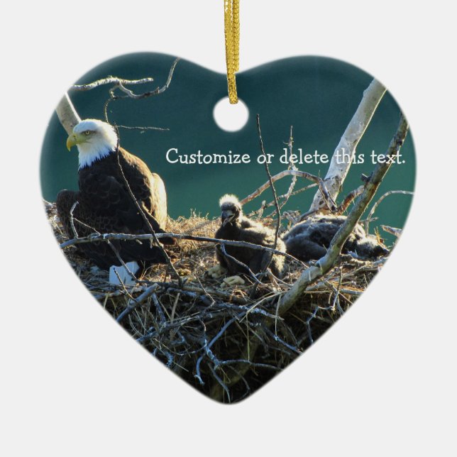 Eagles' Nest; Customisable Ceramic Tree Decoration (Front)