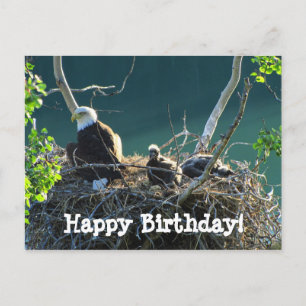 Eagles' Nest; Happy Birthday Postcard