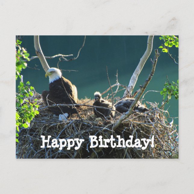 Eagles' Nest; Happy Birthday Postcard (Front)