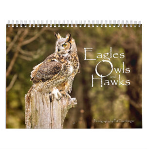 Eagles, Owls and Hawks Wildlife Calendar
