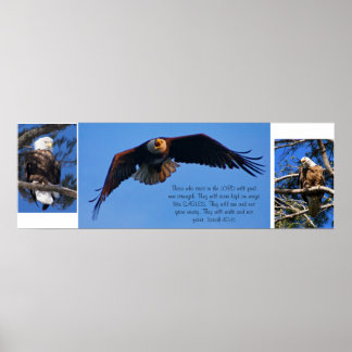 Eagles Poster