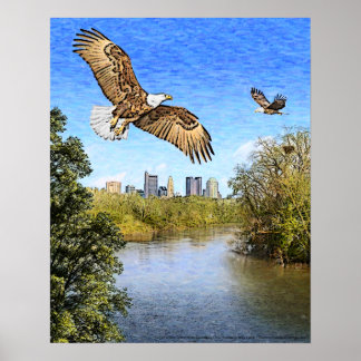 Eagles Scioto River Columbus Ohio Print