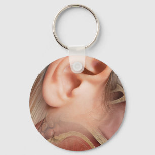 Ear anatomy key ring