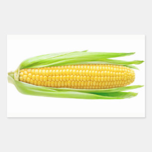 Ear of corn rectangular sticker