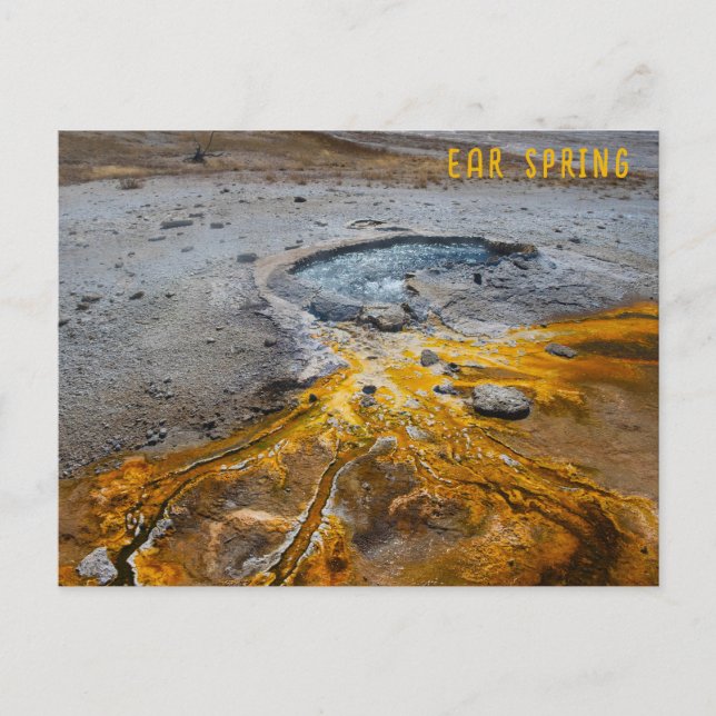 Ear Spring Yellowstone National Park Postcard (Front)