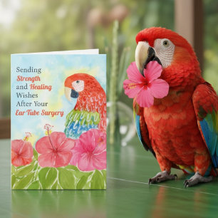 Ear Tube Surgery Healing Scarlet Macaws, Hibiscus Card