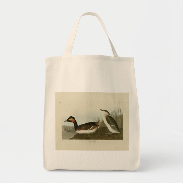 Eared Grebe (Black-necked grebe) - Audubon Tote Bag (Front)
