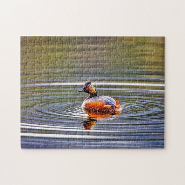 Eared Grebe Montana. Jigsaw Puzzle (Horizontal)