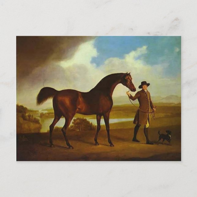Earl Grosvenor's Bandy by George Stubbs Postcard (Front)