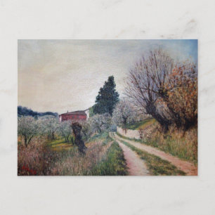 EARLIEST SPRING IN VERNALESE / Tuscany Landscape Postcard