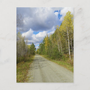 Early Autumn Trail Postcard