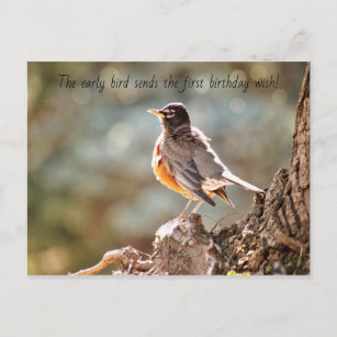 Early Bird Birthday Wishes Postcard