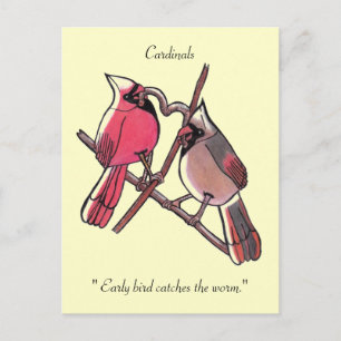 " Early bird catches the worm."Postcard Postcard