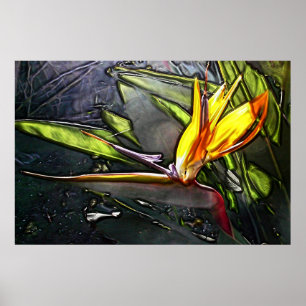 Early Bird Print