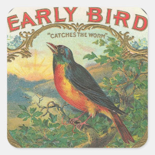 Early Bird Square Sticker