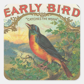 Early Bird Square Sticker
