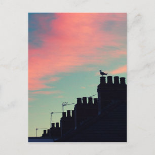 Early Birds Postcard