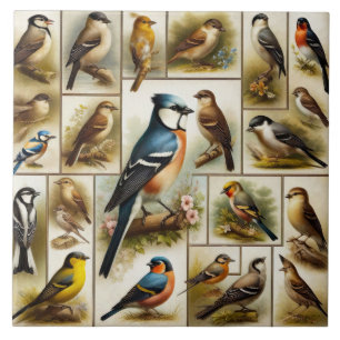 Early Birds Tile
