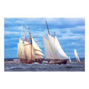 Early Contenders Photo Print