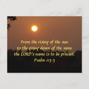 Early Dawn Late June Postcard