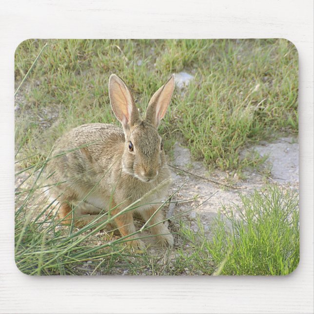 Early Evening Bunny Mouse Mat (Front)